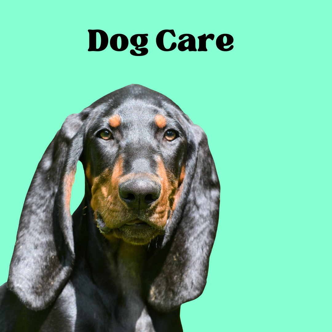 How long and until what age should a dog sleep in a crate DailyBark