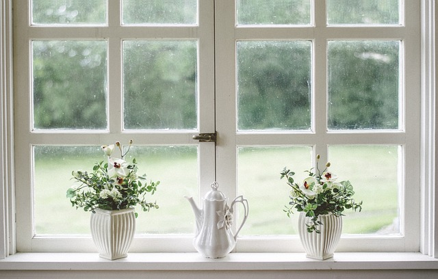 white, flower background, window
