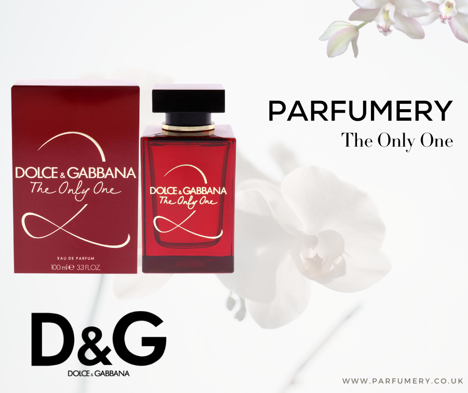 The Best YSL Black Opium Dupes Parfumery LTD