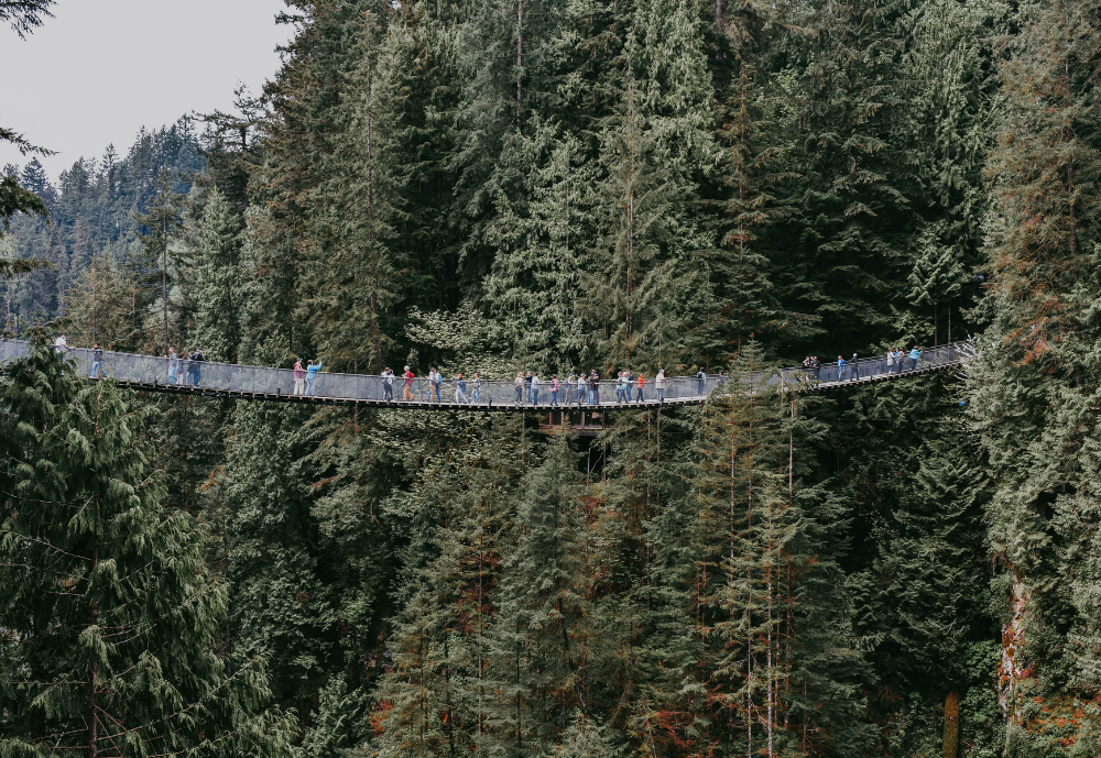 The Capilano Suspension Bridge