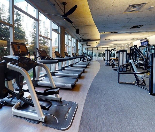 gym, fitness, treadmill, workout, exercise, active, strength, athlete, health, healthy, blue health, blue fitness, blue gym, blue exercise, blue healthy, blue workout, gym, gym, gym, gym, gym, treadmill