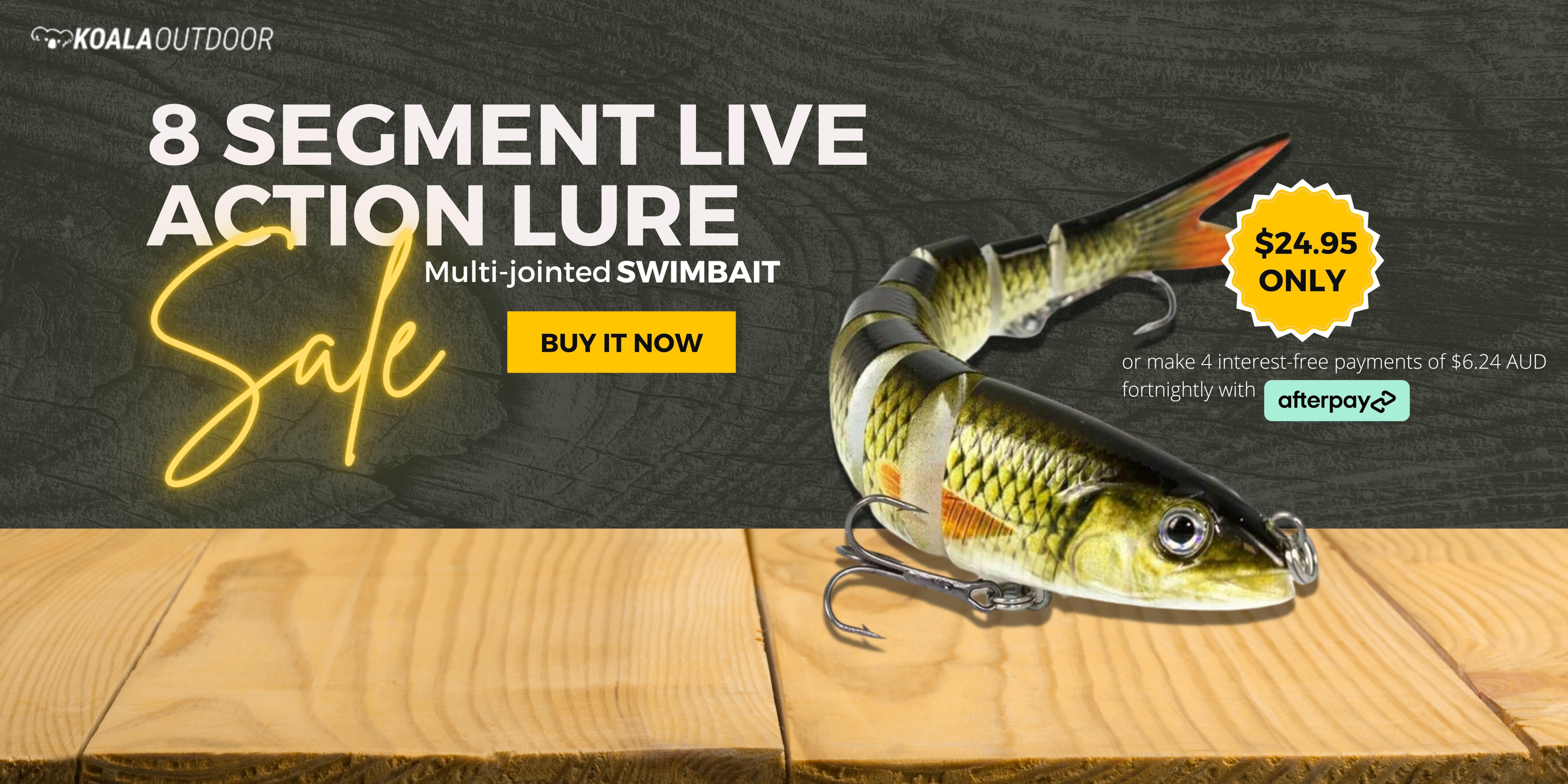 Your Guide to Segmented Lures