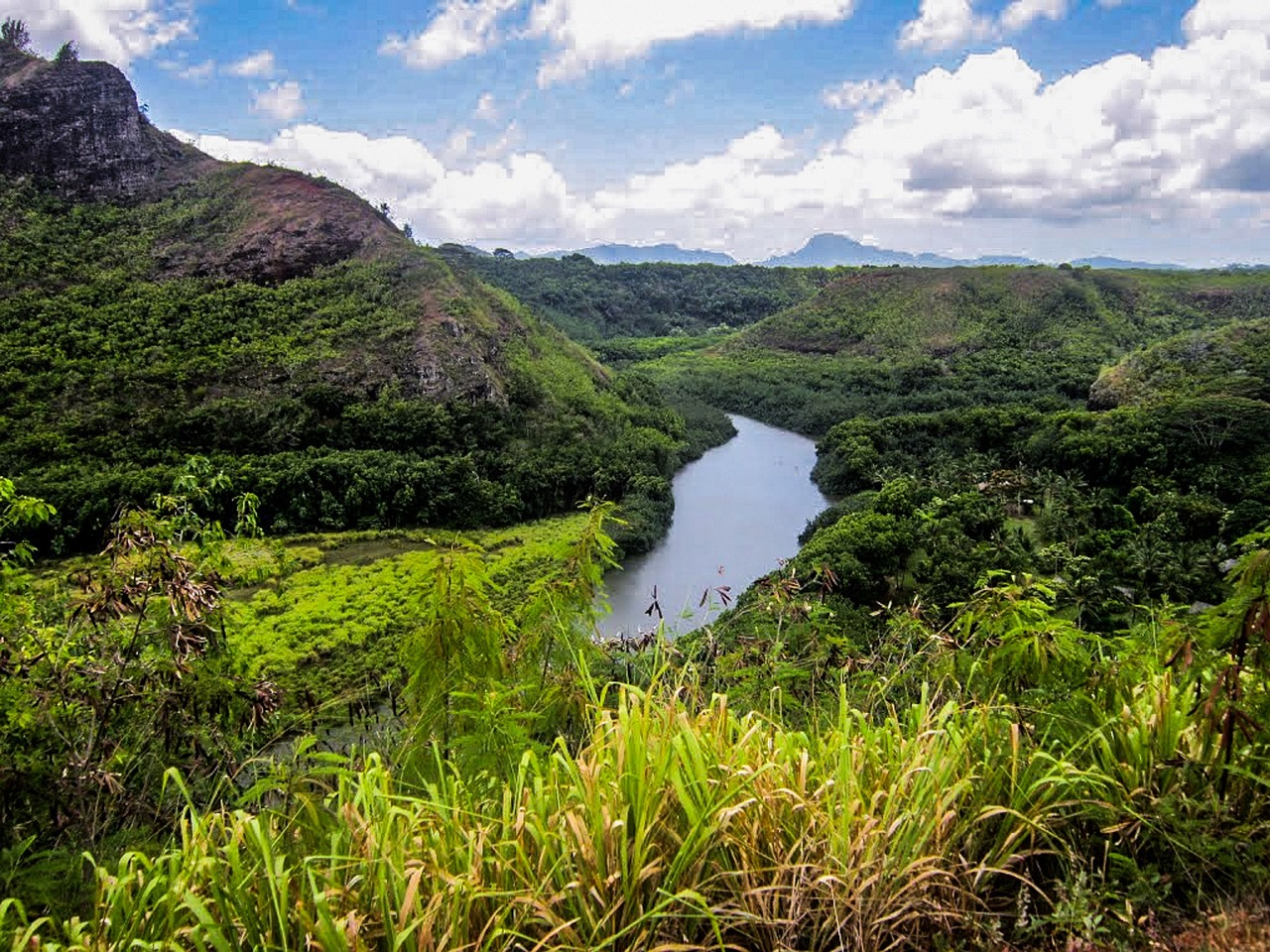 A view of the Wailua River with greenery around it in Kauai. Walking by the side of the river is one of the things to do in Kauai.