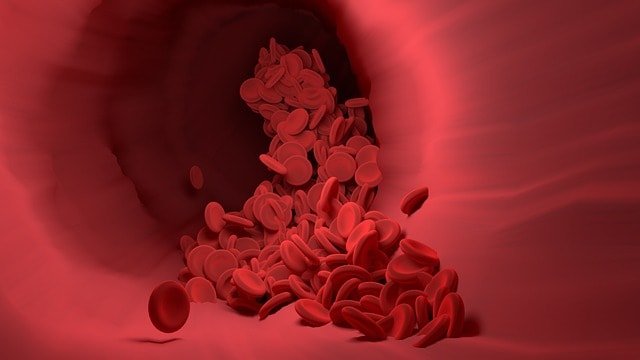 red blood cells, blood vessel, blood flow, science, 3d mockup, 3d render, blood vessel, blood vessel, blood vessel, blood vessel, blood vessel, blood flow, blood flow, blood flow, blood flow, science, science