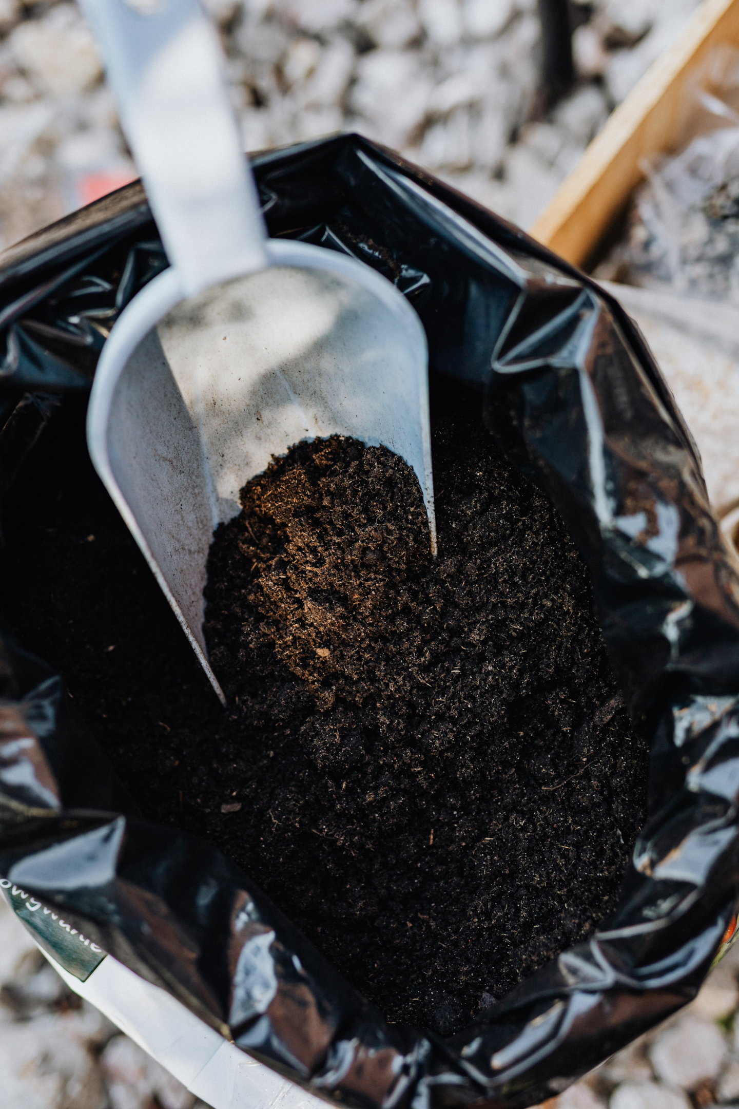 The right balcony soil: you should pay attention to this