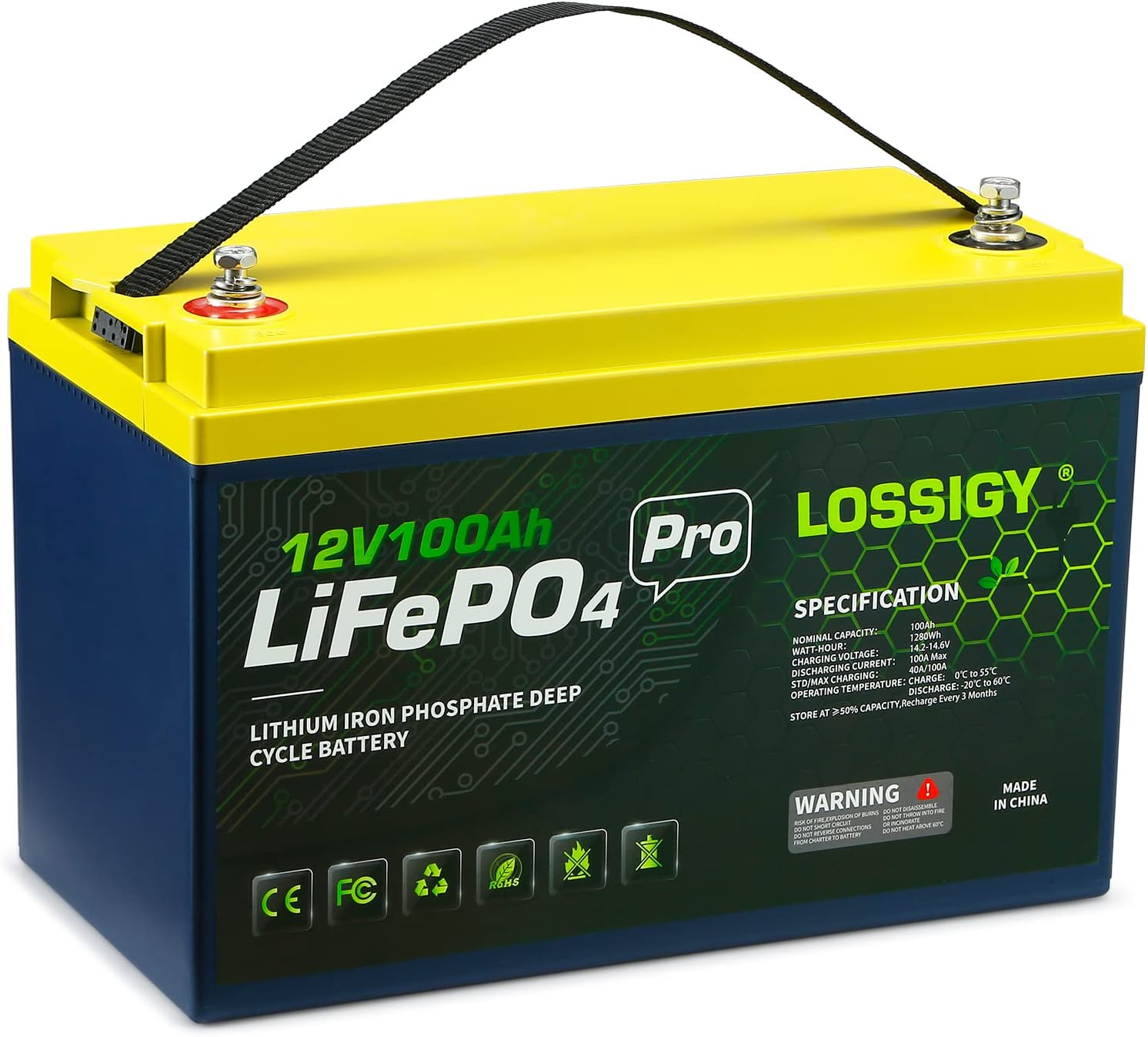 LOSSIGY 100Ah Lithium Battery