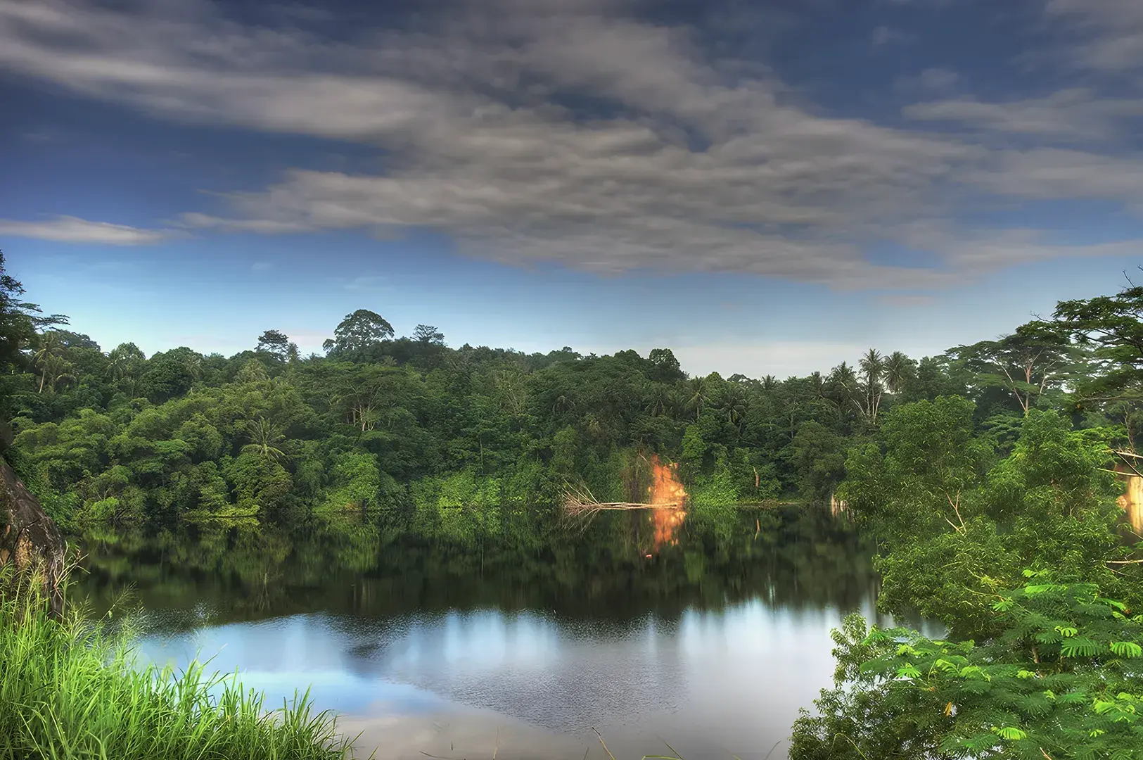 Serene view of Pulau Ubin quarry lake reflecting lush tropical forest and cloudy blue sky in Singapore