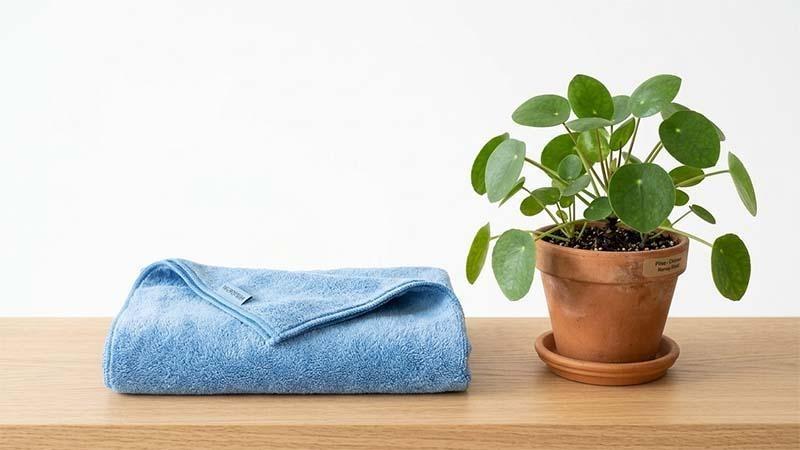 Microfiber towel next to a potted plant