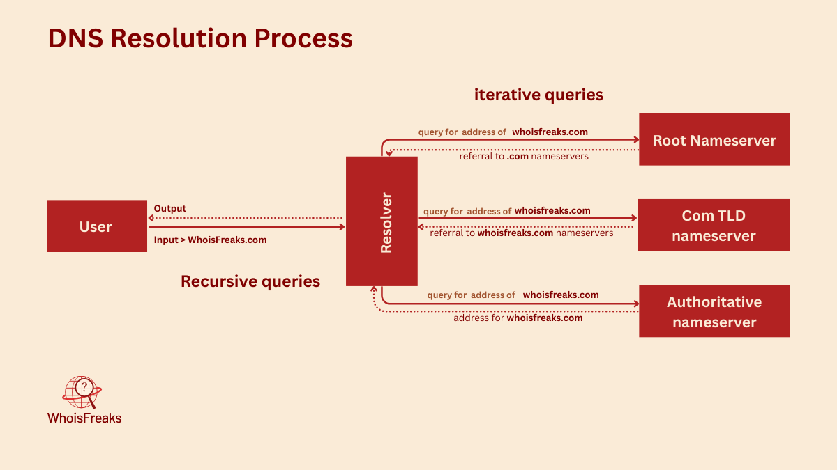 DNS Resolution Process