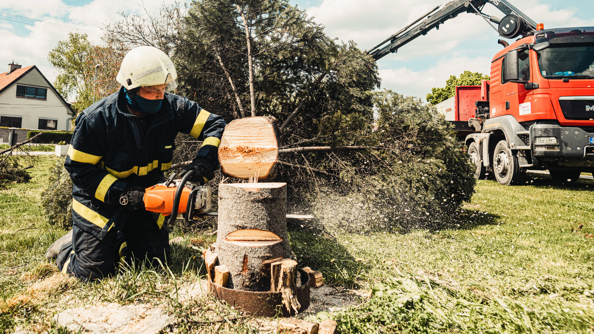 A tree removal company takes down a tree on a person's property.