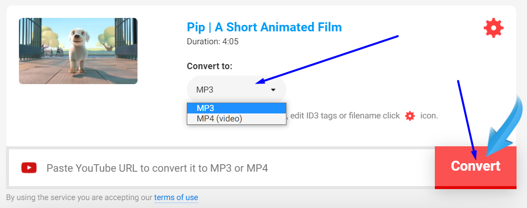 select the video format