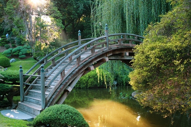 Even when you cannot be in the nature, we bring the natural healing to you.