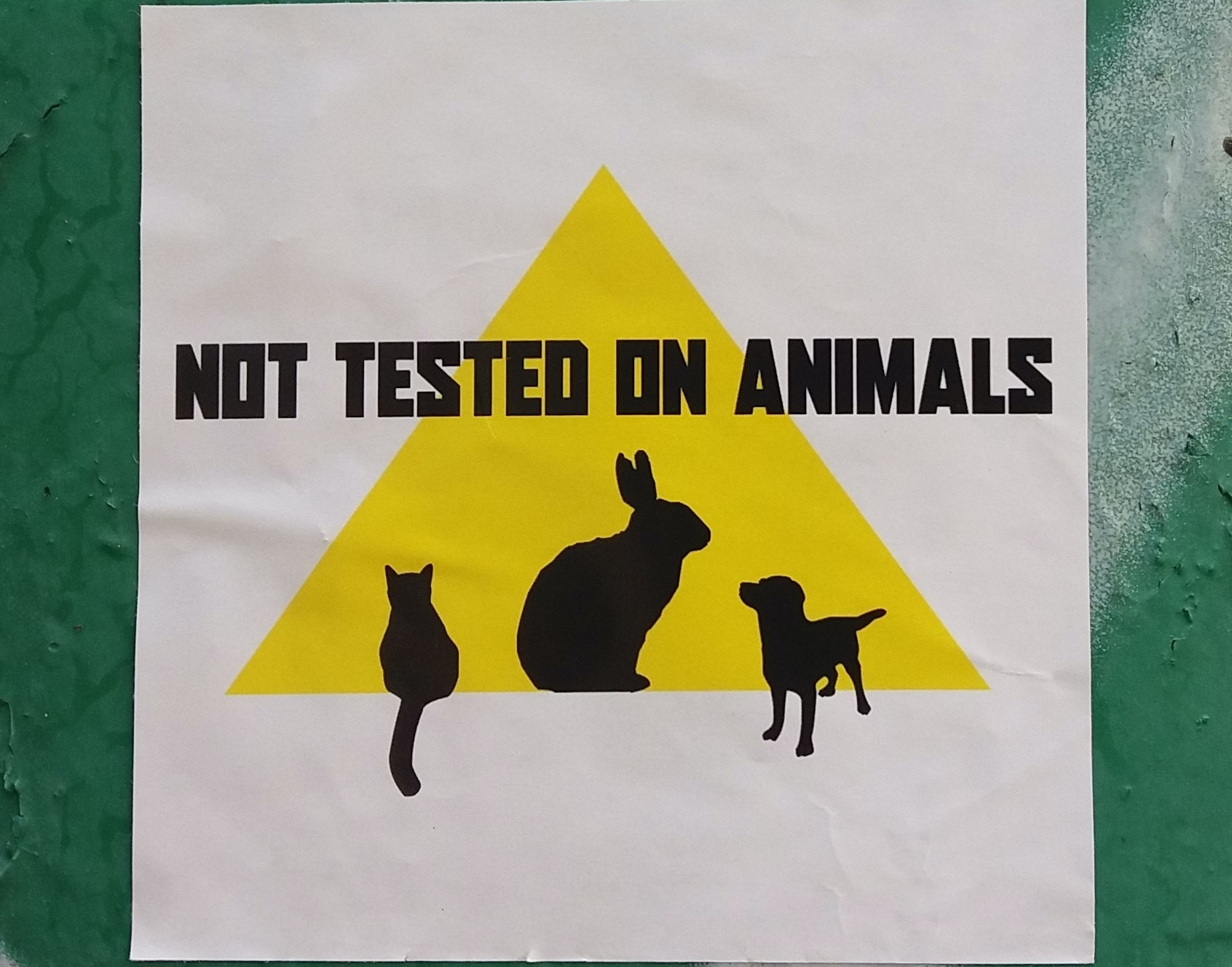 Cruelty-Free Products Testing
