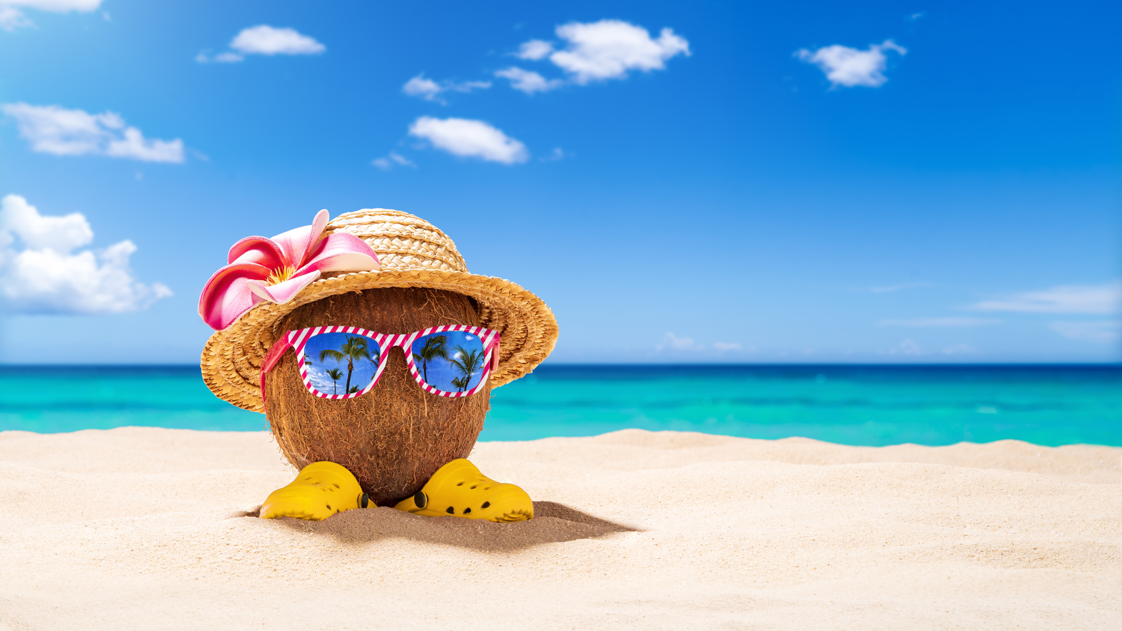 Coconut on the Beach (Shutterstock)
