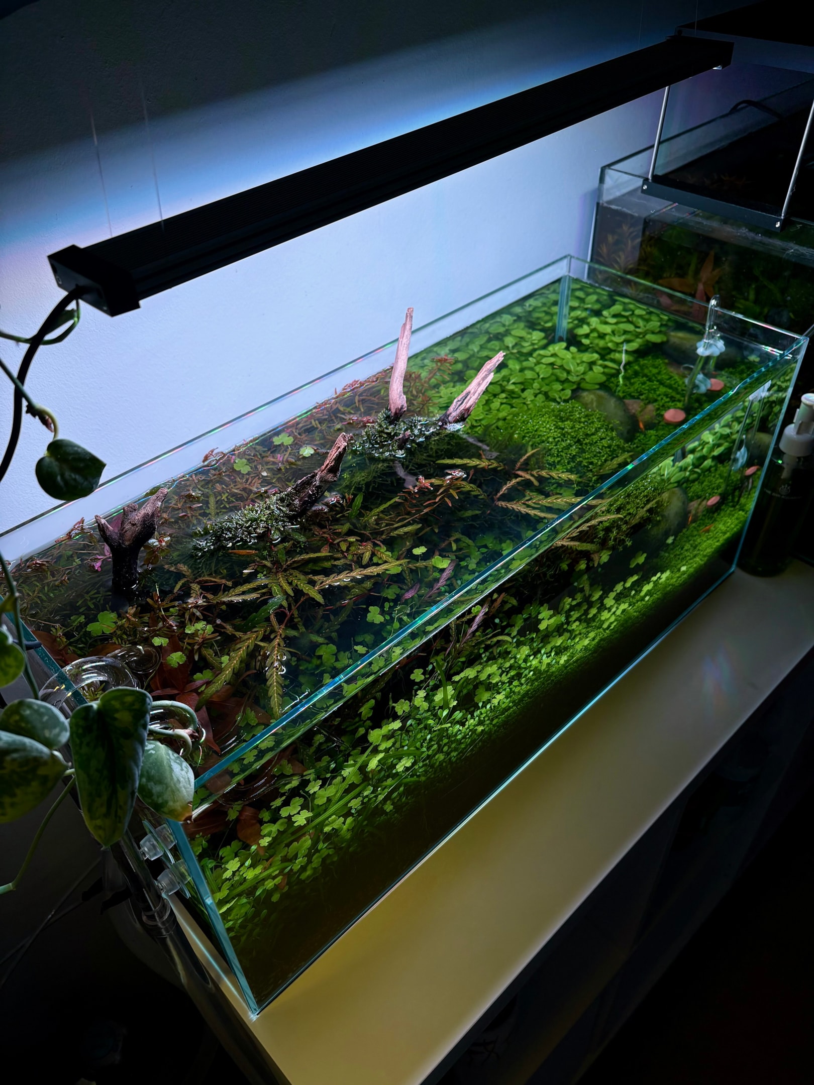 Moving your tank is a delicate operation