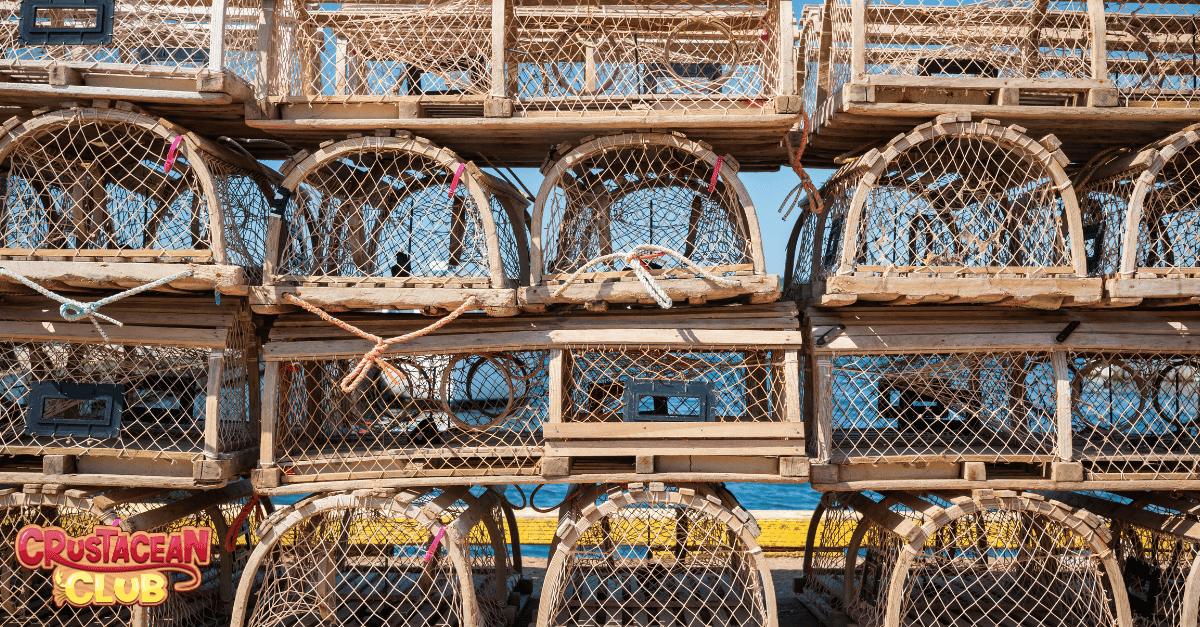 Lobster nets for securing your catch