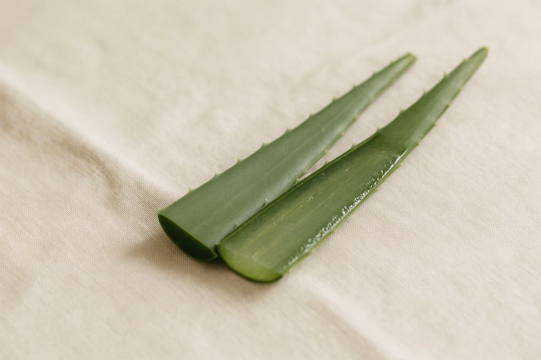 best natural ingredient aloe vera for