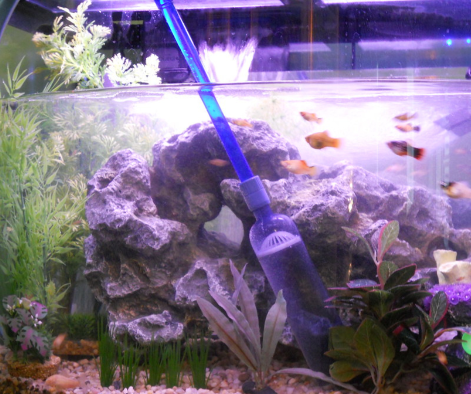 Regular water changes can help keep your tank in balance