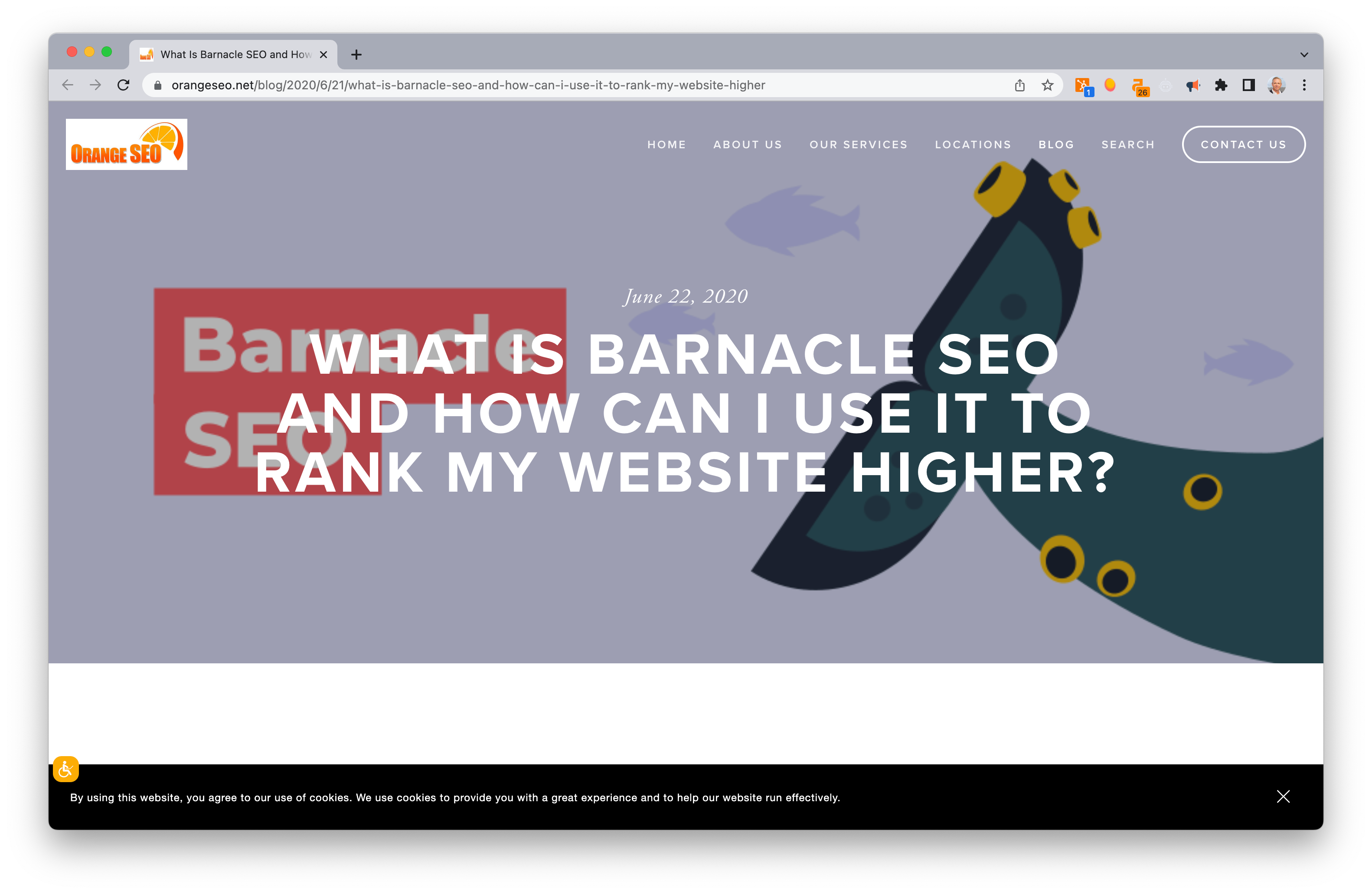 Screen Shot: What is Barnacle SEO and How Can I Use It to Rank My Website Higher?