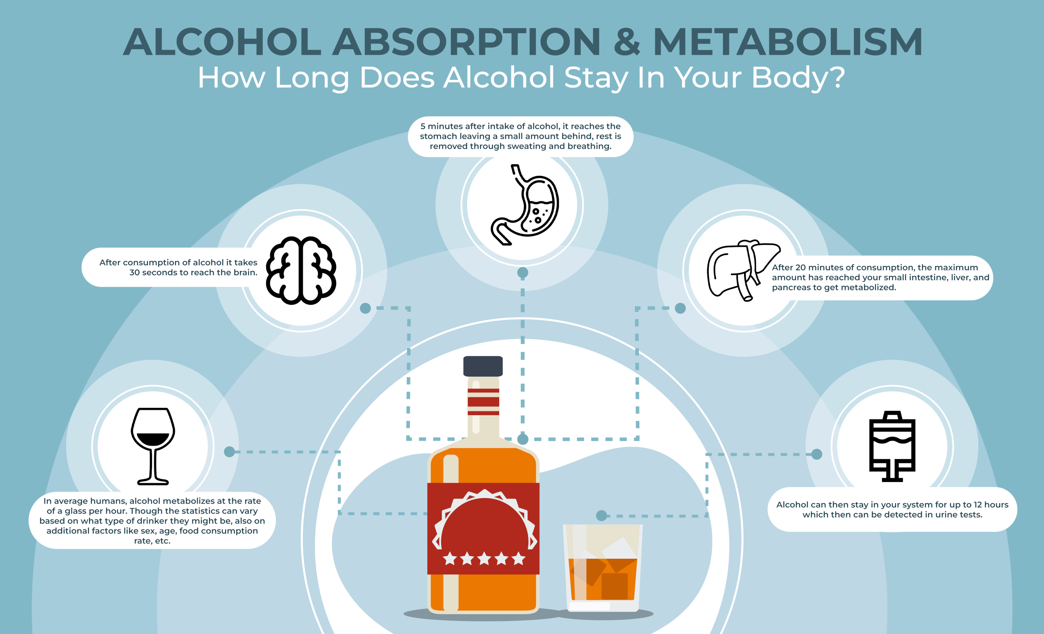 how-can-you-flush-alcohol-out-of-your-system