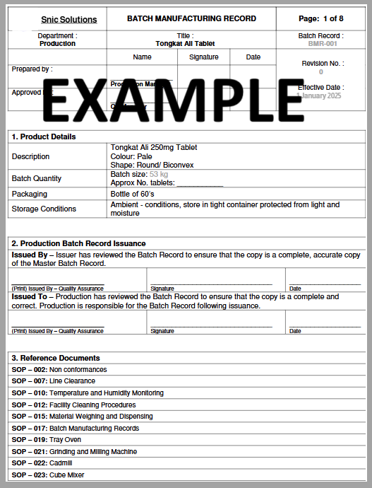 Batch Manufacturing Record (BMR) example