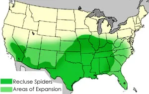 An image of showing a map depicting the areas wher recluse spiders live in the United States.