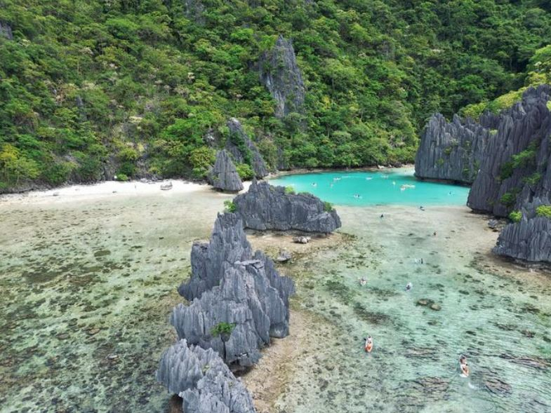 el nido miniloc island tropical plants