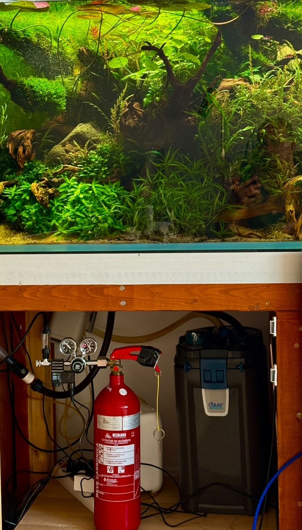 CO2 injection enhances plant growth