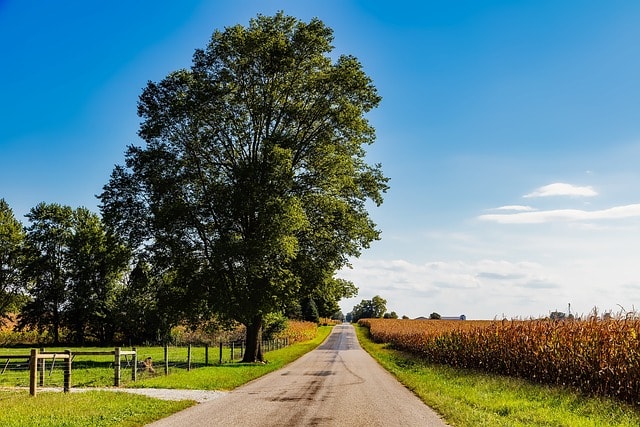 indiana, landscape, cornfield