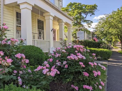 Roses blooming in front of a cute shop tucked into a side street in downtown Greenwich, Connecticut