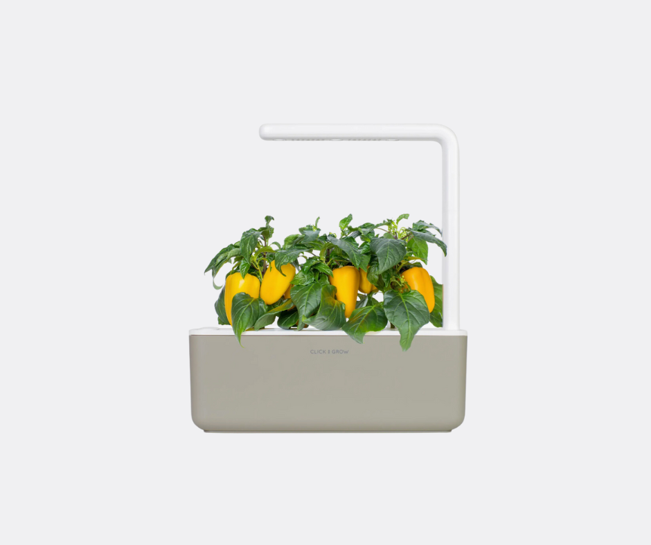 Smart Garden 3 Self-Watering Indoor Garden by Click & Grow