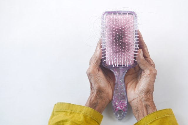 checking comb for hair clumps due to hair loss at old age