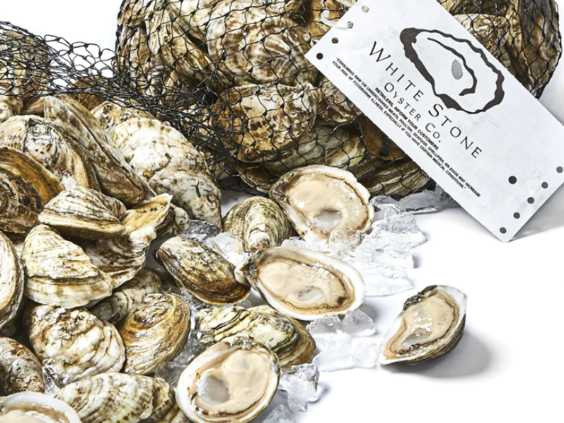 Image of White Stone Oysters, a trusted source for Bay Blue cultured oysters.
