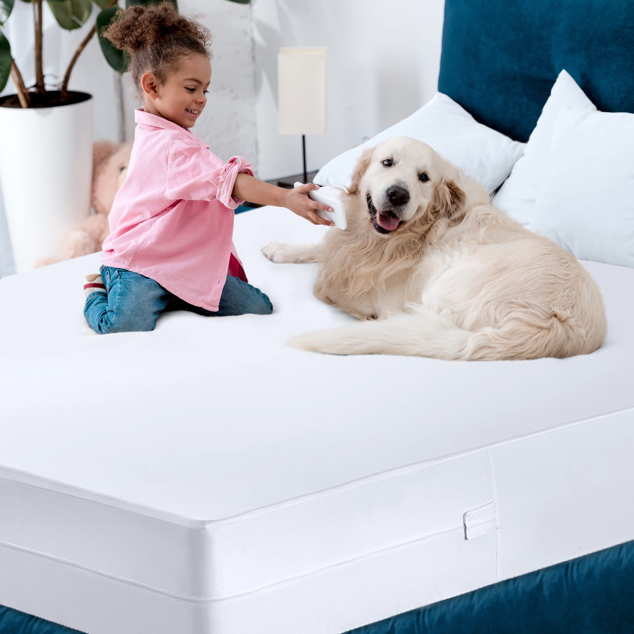 What is a Mattress Protector?