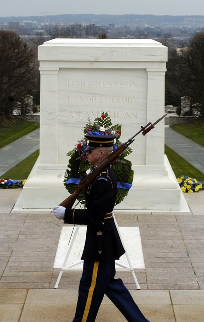 washington dc, arlington national cemetery, soldier, Military Reservist Economic Injury Disaster Loan program