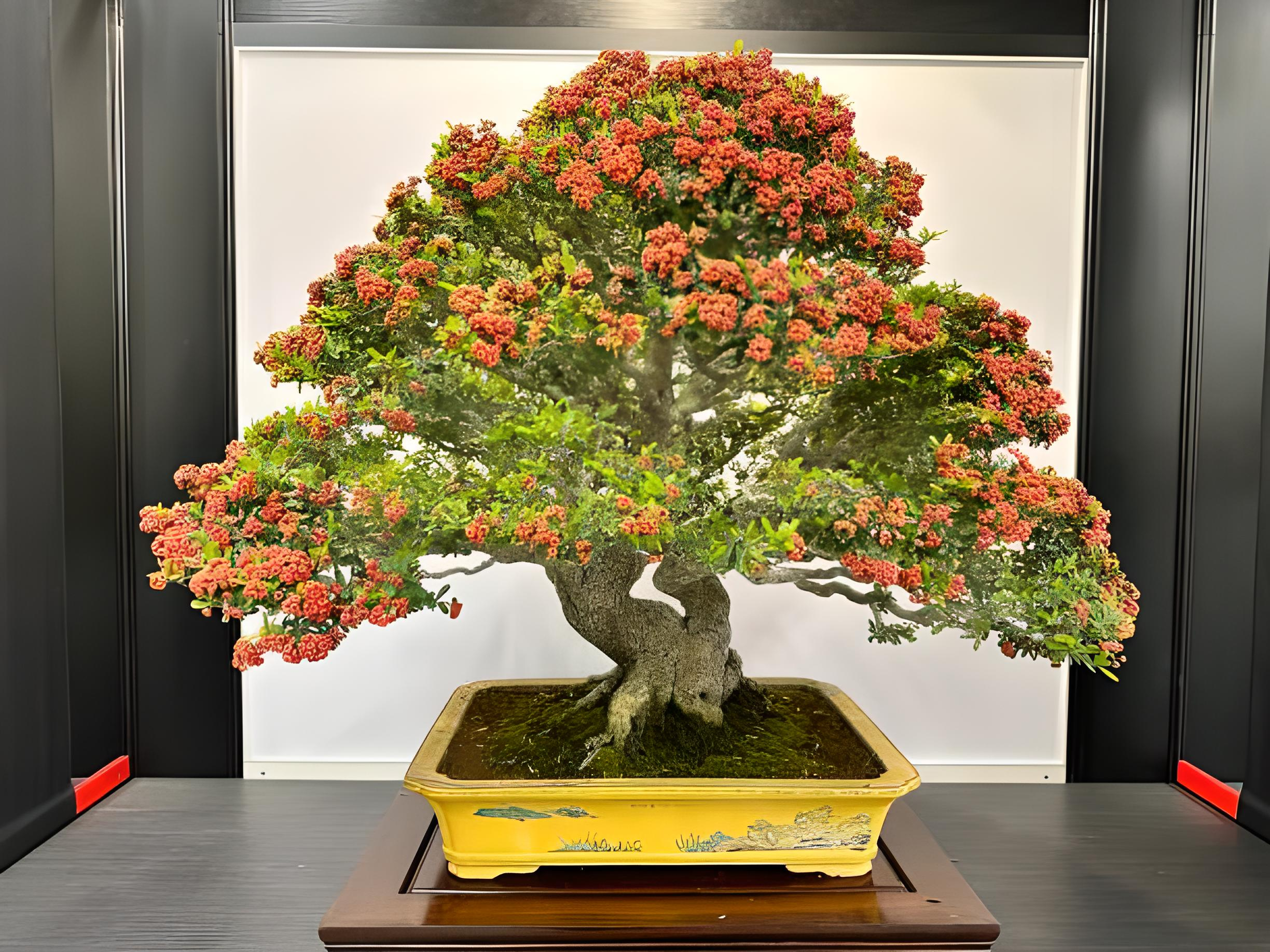 A robust bonsai tree in full bloom, illustrating the mental health benefits of bonsai cultivation