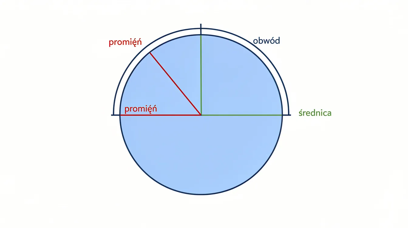 Ilustracja przedstawia koło z wyraźnie zaznaczonym promieniem, średnicą oraz obwodem, co pozwala lepiej zrozumieć pojęcia związane z geometrią, takie jak obliczanie obwodu koła. Warto zauważyć, że obwód koła można obliczyć za pomocą wzoru, a jego długość odgrywa kluczową rolę w różnych dziedzinach matematyki.