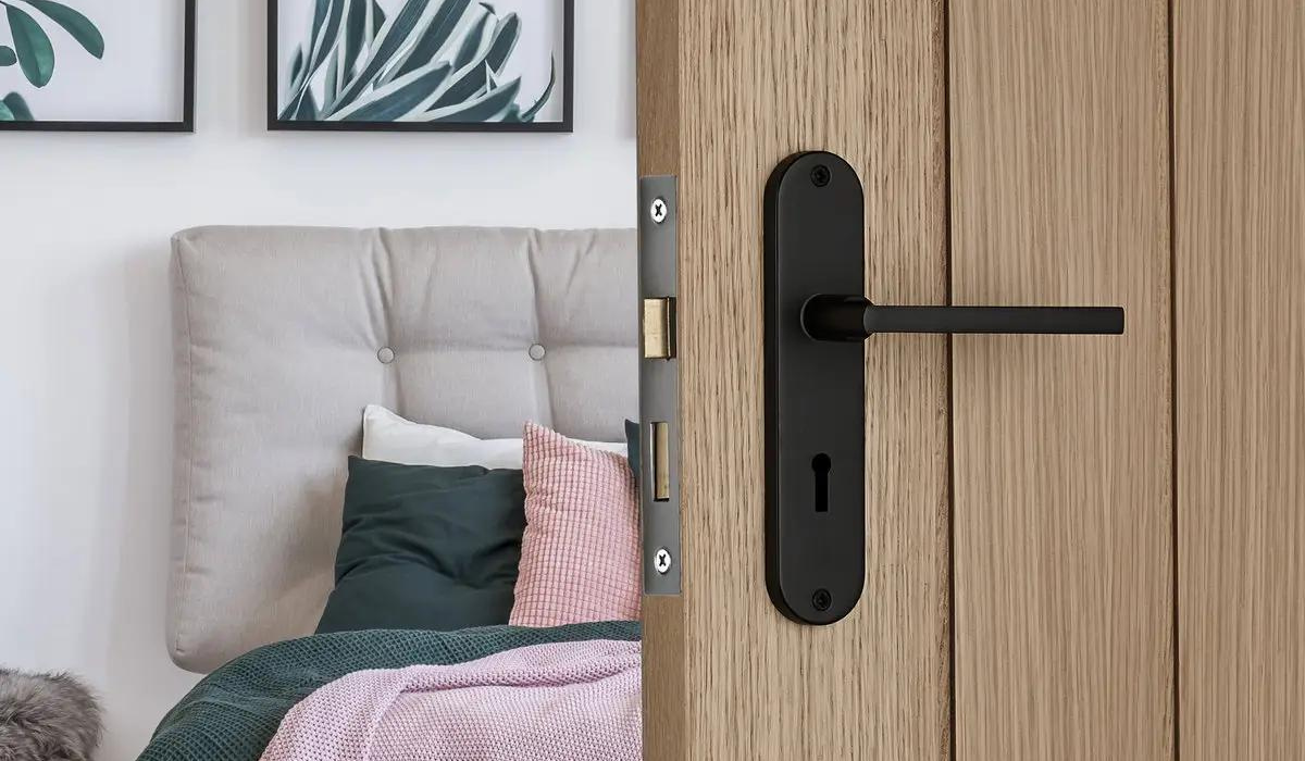 Interior door handle design styles - matte black door handle on a natural timber door