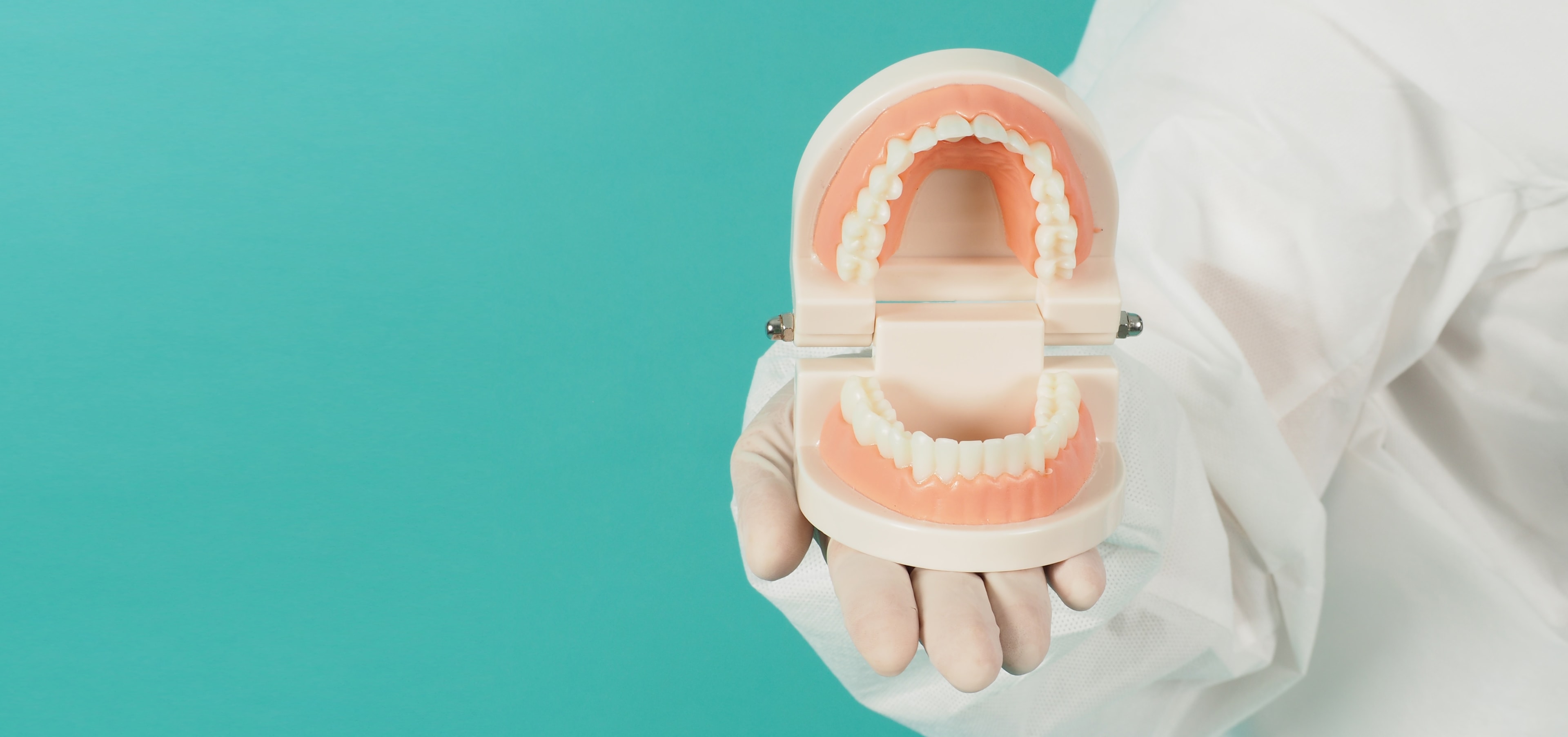 A tooth sample showing implant dentistry.