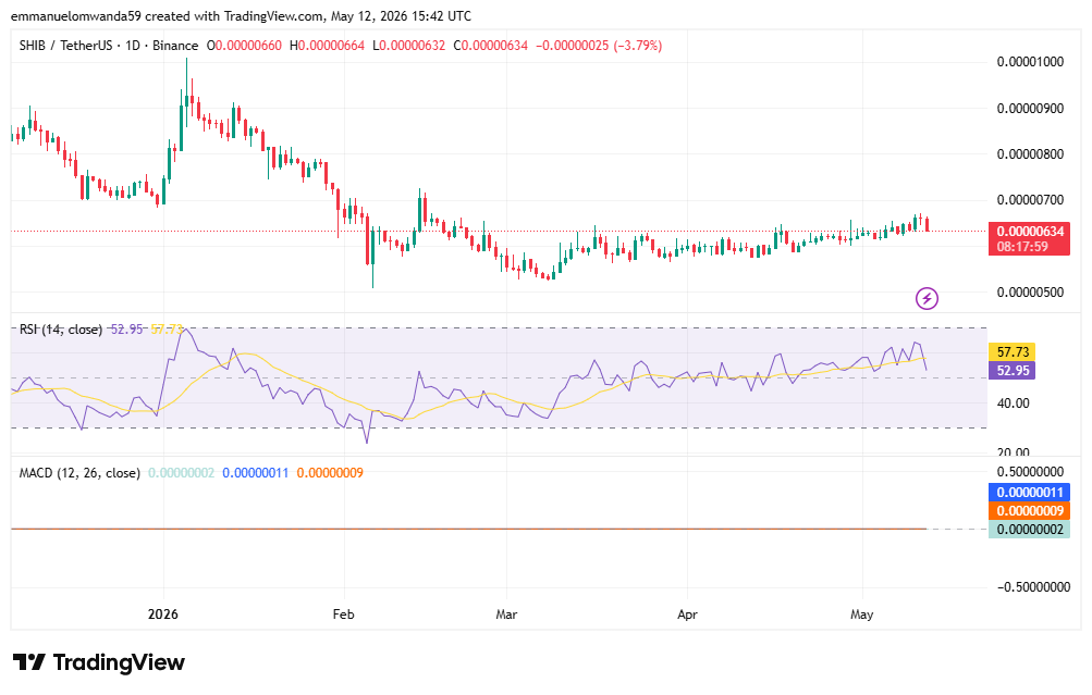 Grafico SHIB/USDT: TradingView