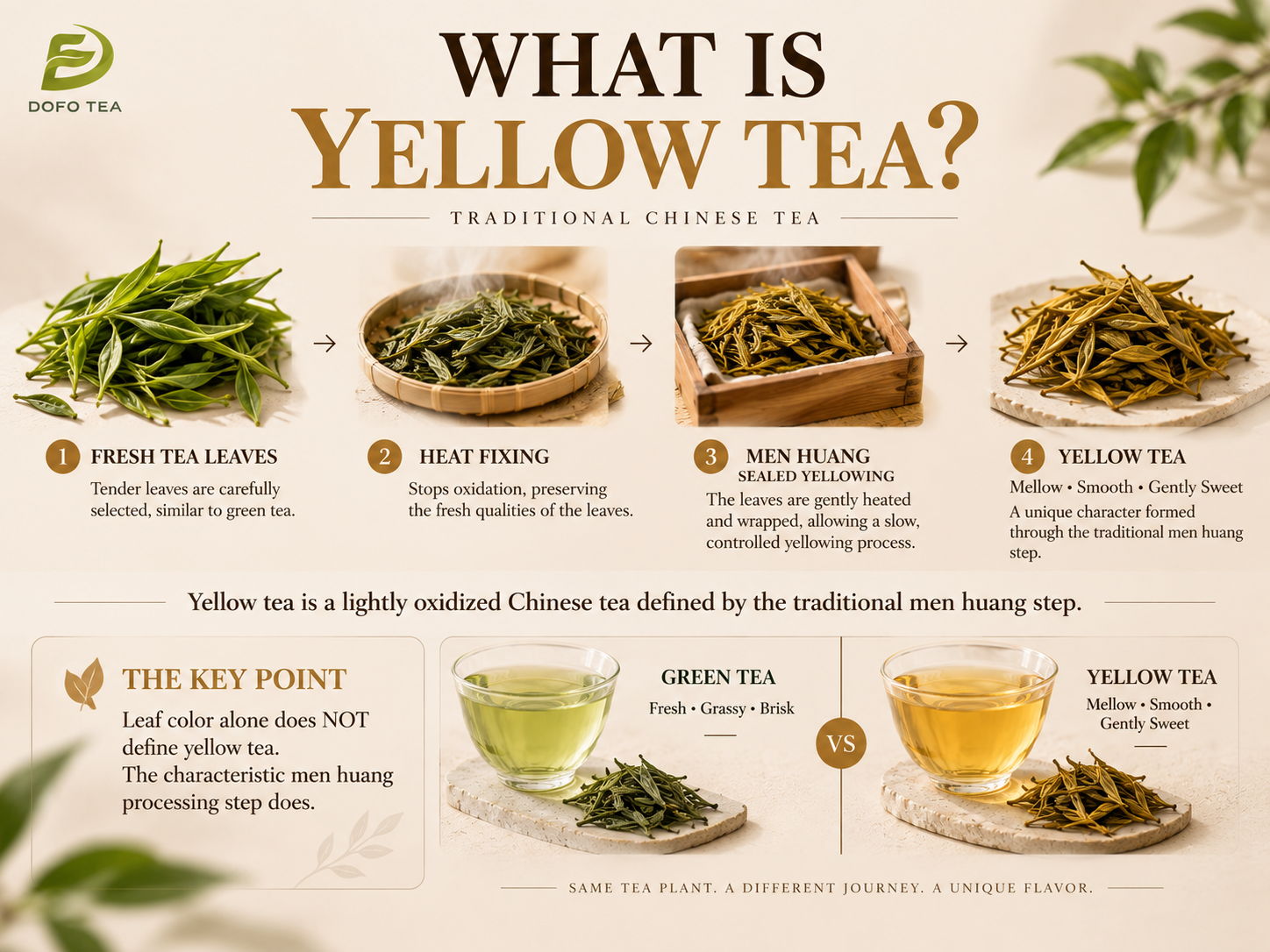 What Is Yellow Tea?