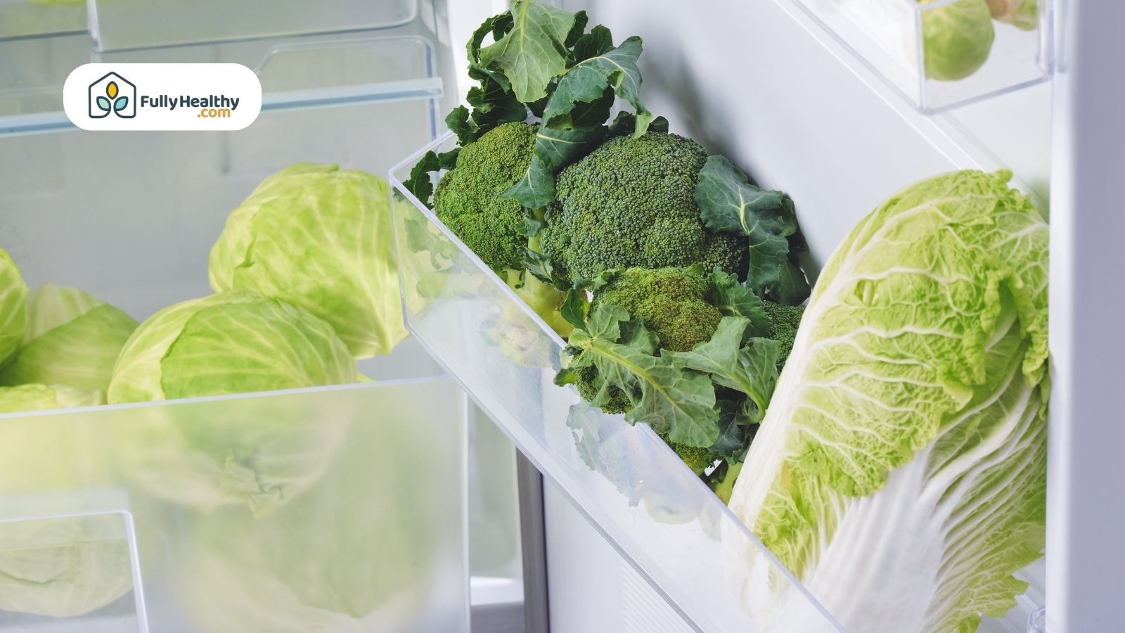 Fresh broccoli, Napa cabbage, and cabbages stored in fridge