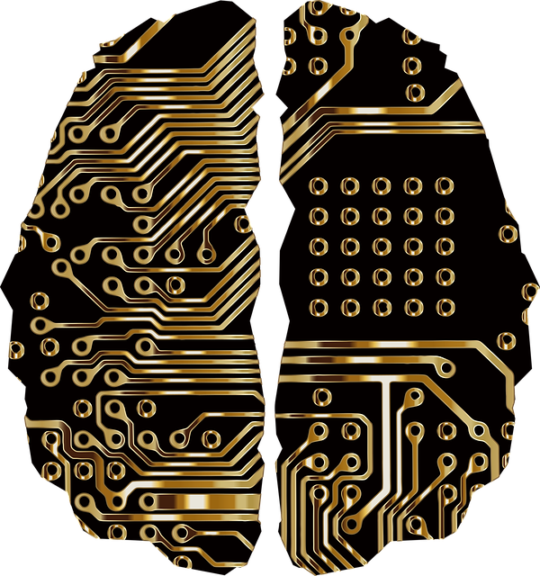 brain, circuit board, pcb