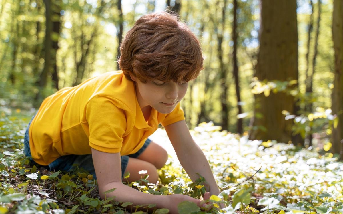 nature activity classic game enhances memory