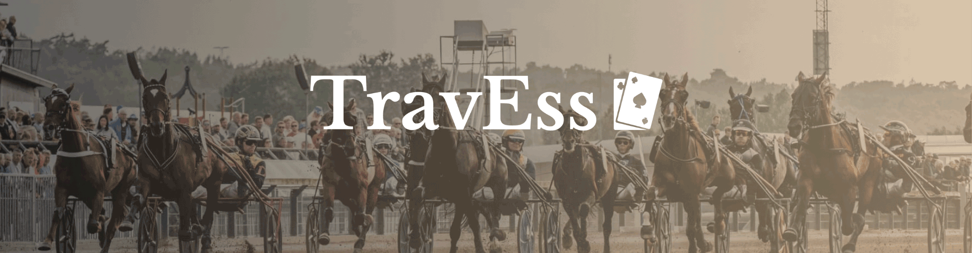 TravEss - ny sajt för dig som älskar trav!