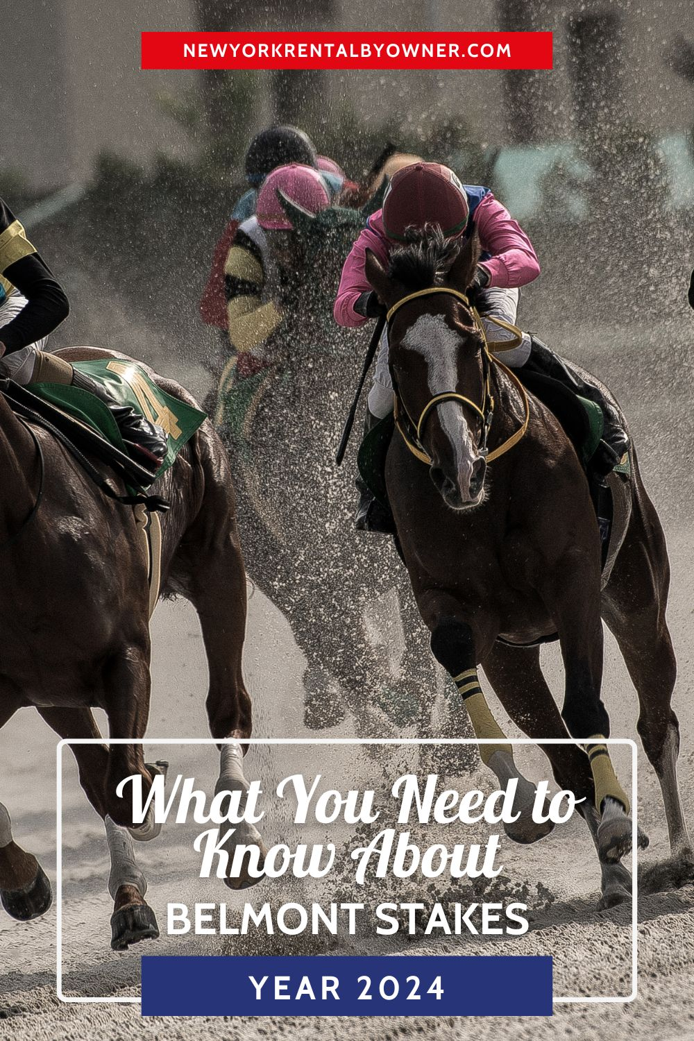 Witness Horse Racing History