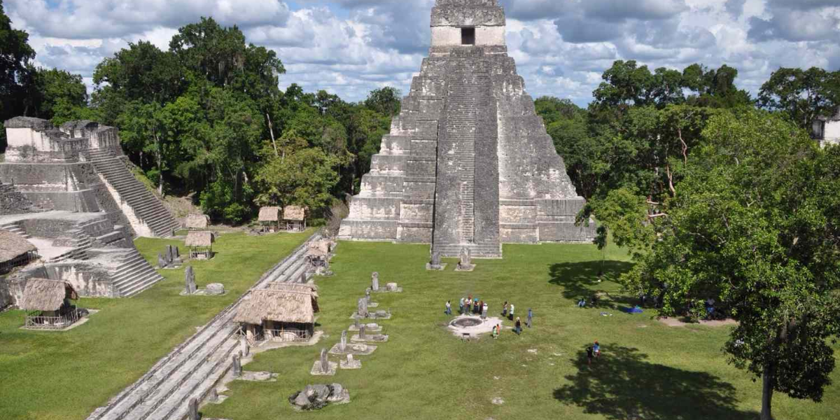 interesting animals in guatemala