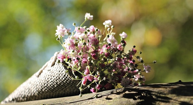 bag of gypsophila, gypsophila, rose flower, bag, ornamental flower, windows wallpaper, free background, ornamental plant, full hd wallpaper, flower wallpaper, beautiful flowers, 4k wallpaper 1920x1080, mac wallpaper, flower, laptop wallpaper, blossoms, nature, hd wallpaper, white flowers, happy mothers day, wallpaper 4k, pink flowers, rose flowers, beautiful wallpaper, background, background image, floral greeting, rose, wallpaper hd, floral background, desktop backgrounds, pink, 4k wallpaper, flower background, lichtspiel, love, free wallpaper, romance, dianthus, romantic, cool backgrounds, valentine's day, gypsum herb, bag of flowers, bag with bow, tender, sunlight