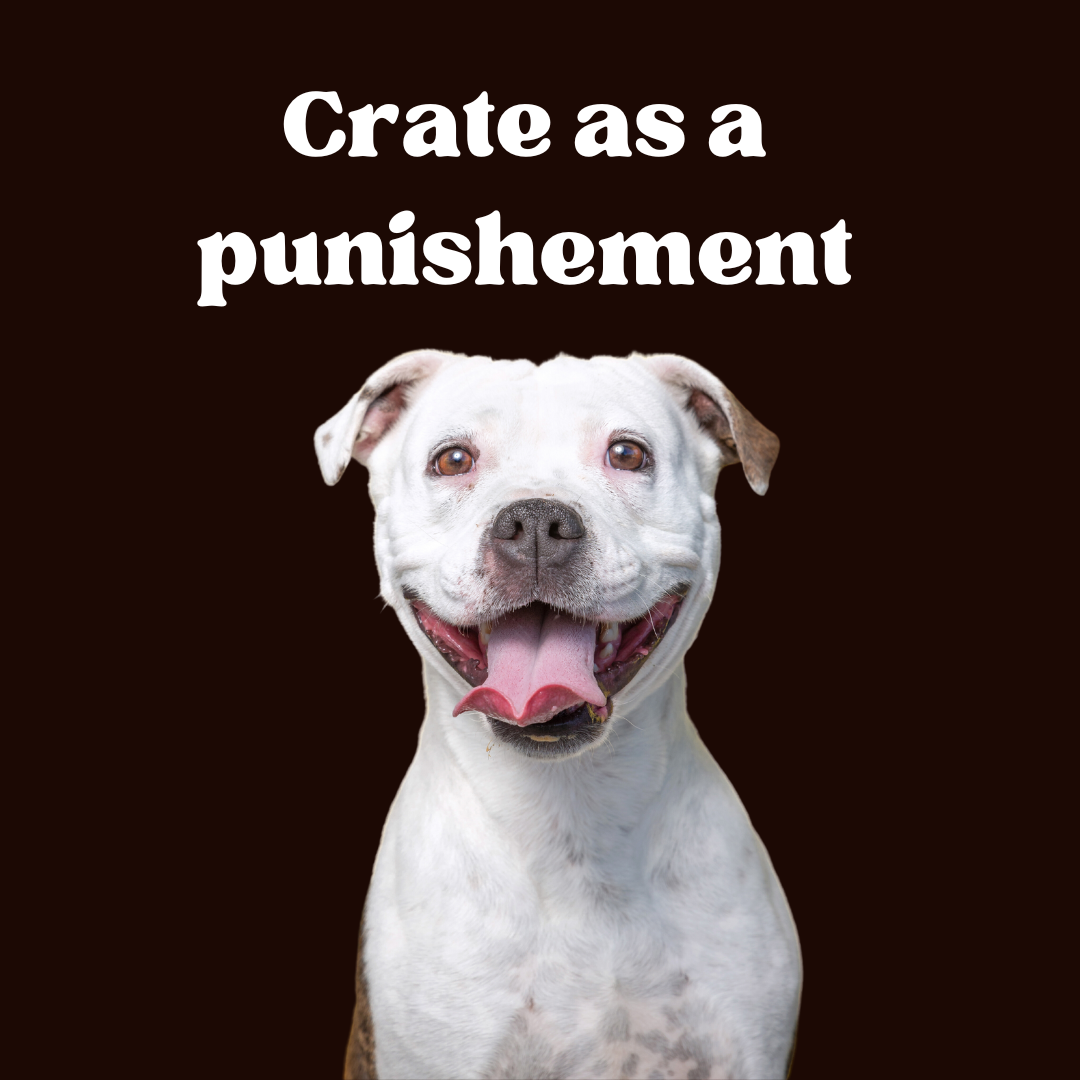 Do not use dog crate as a form of punishment DailyBark