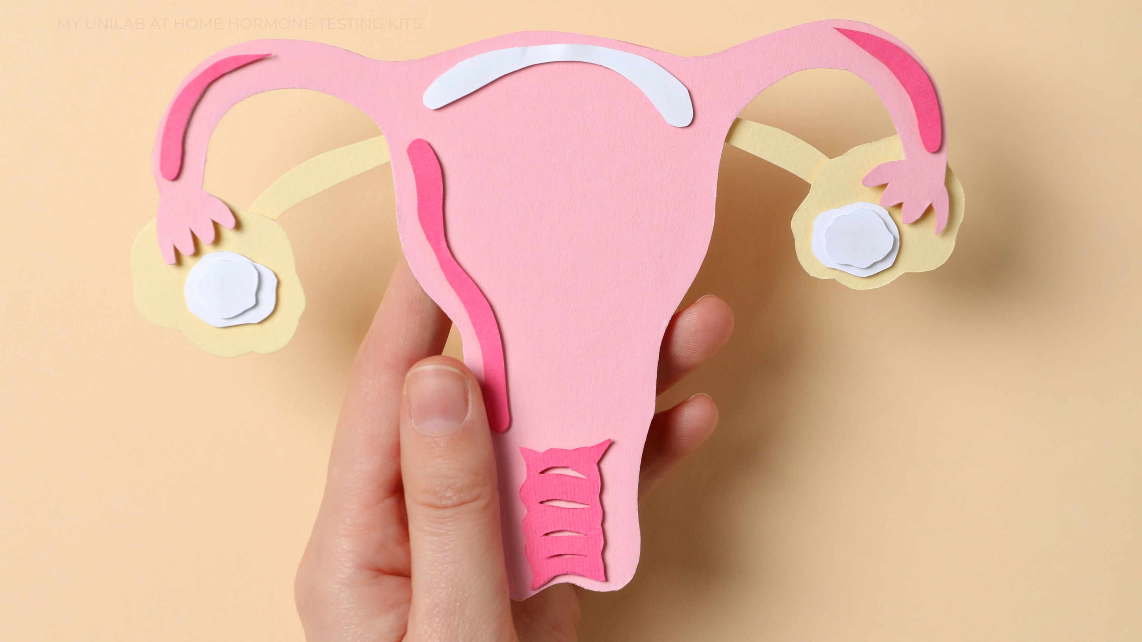 Image of a uterus made from colorful paper in pink, white and yellow tones- being help by a hand